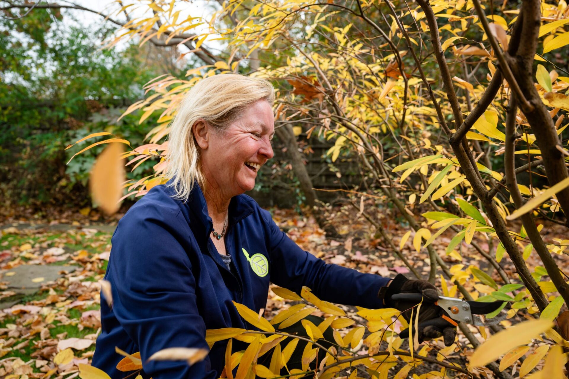 A person joyfully trims yellow-leafed branches in an autumn garden, surrounded by scattered leaves and green foliage.