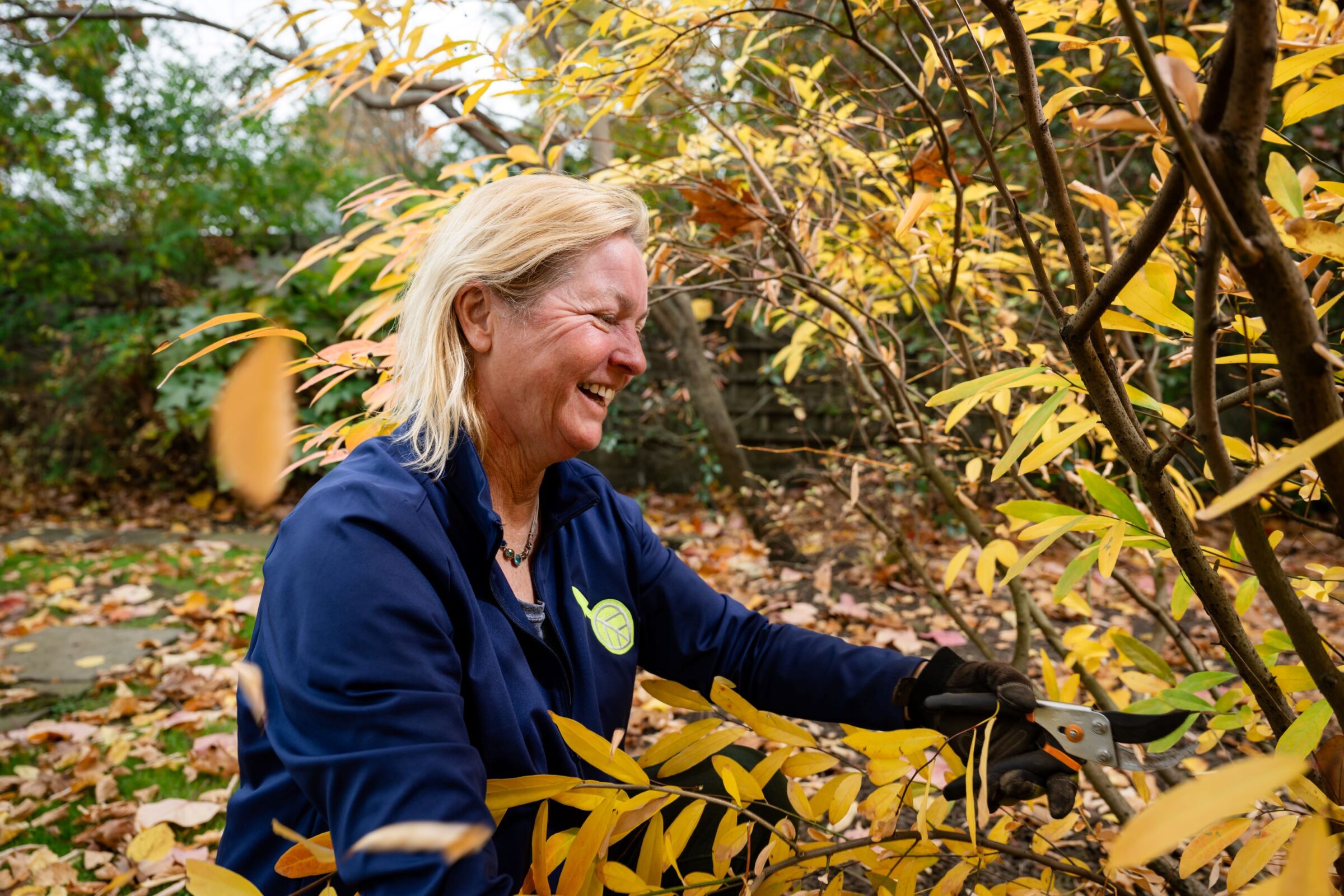 A person joyfully trims yellow-leafed branches in an autumn garden, surrounded by scattered leaves and green foliage.