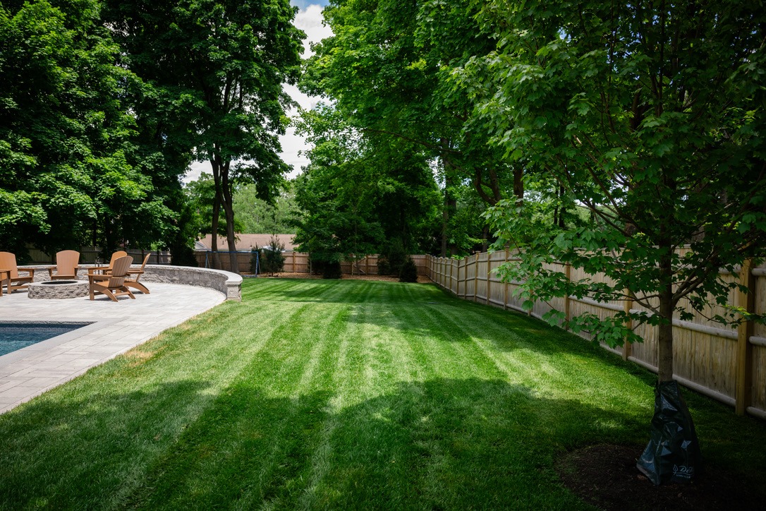 Sunny backyard with lush green lawn, wooden fence, patio chairs, stone accents, and surrounding trees, creating a serene outdoor living space.