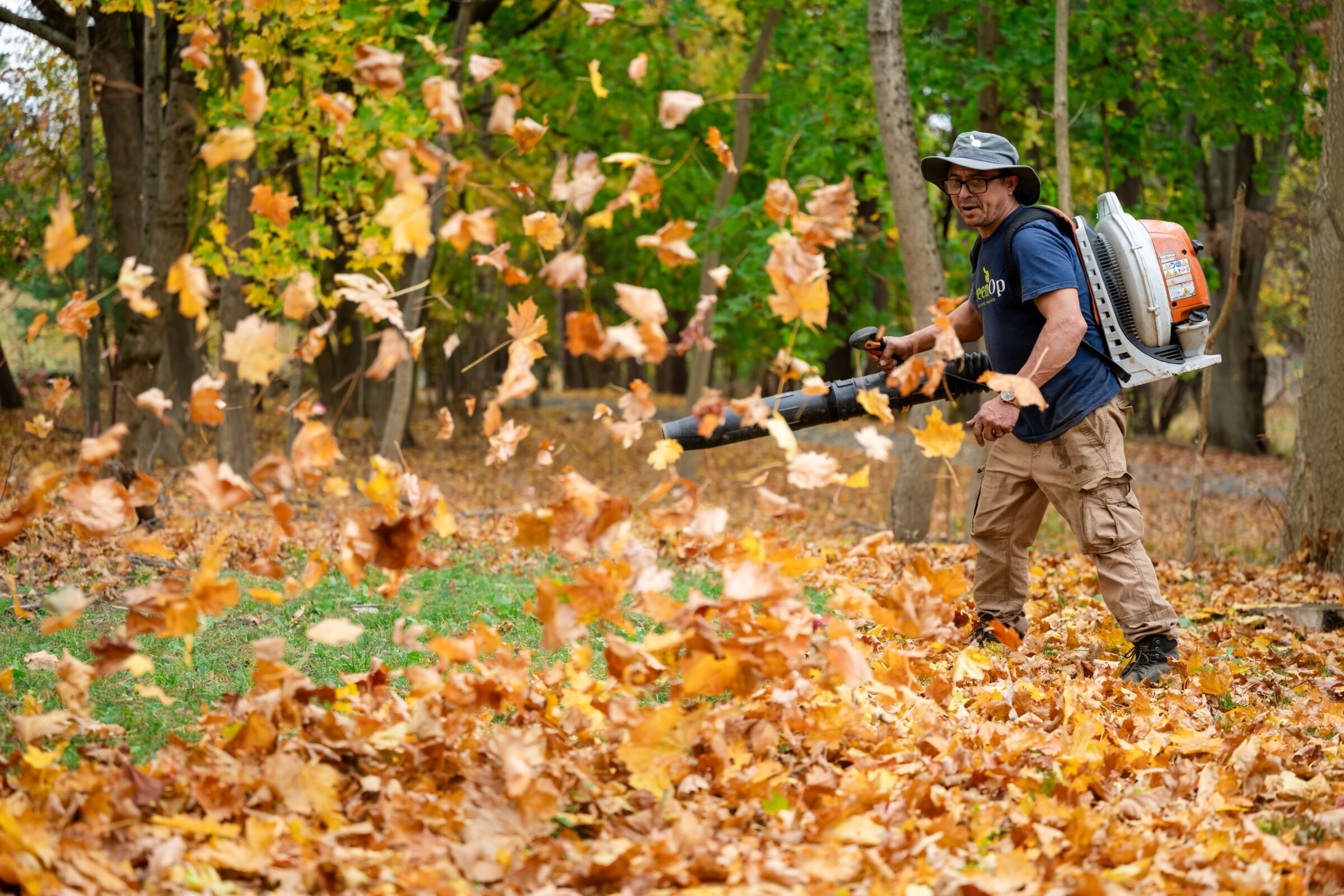 A person operates a leaf blower in a wooded area, scattering autumn leaves. Trees with colorful foliage surround the scene.