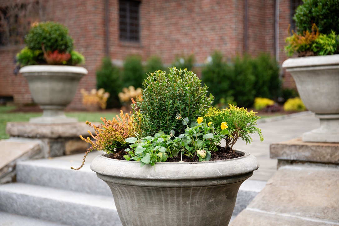 A stone planter with green foliage and yellow flowers sits on steps, with a brick building and walkway in the background.