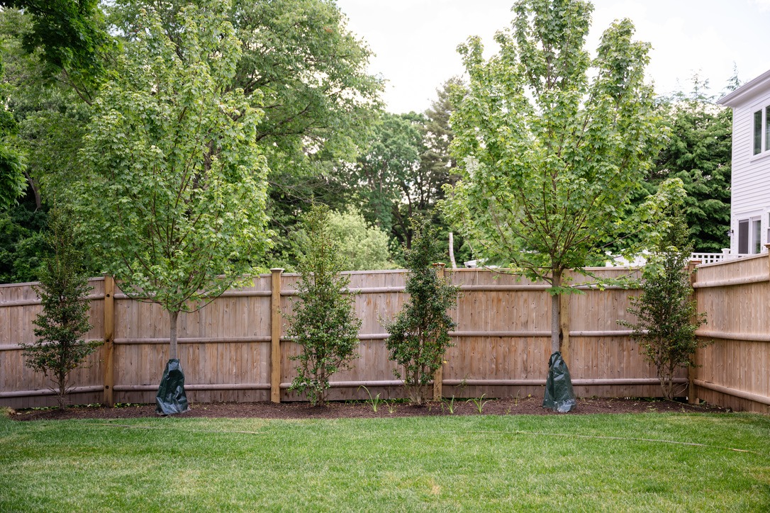 A backyard with green grass, trees, and a wooden fence. A white house is partially visible on the right side.