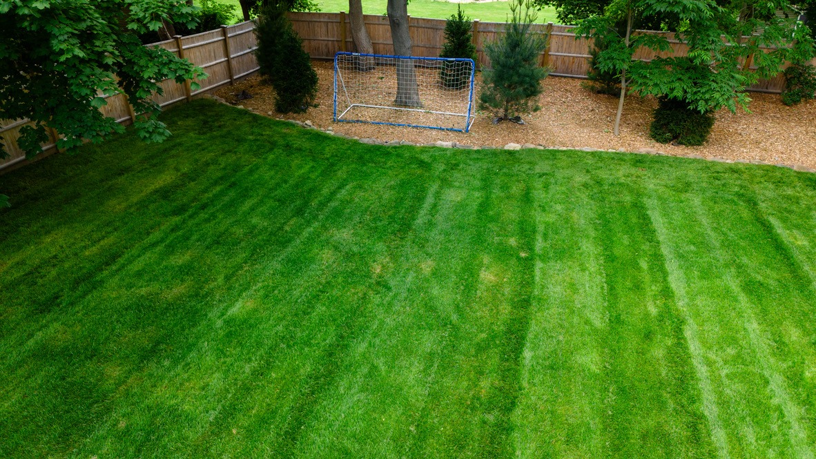 A lush, green backyard with a small soccer goal and wooden fence, surrounded by trees and mulch, under clear skies.