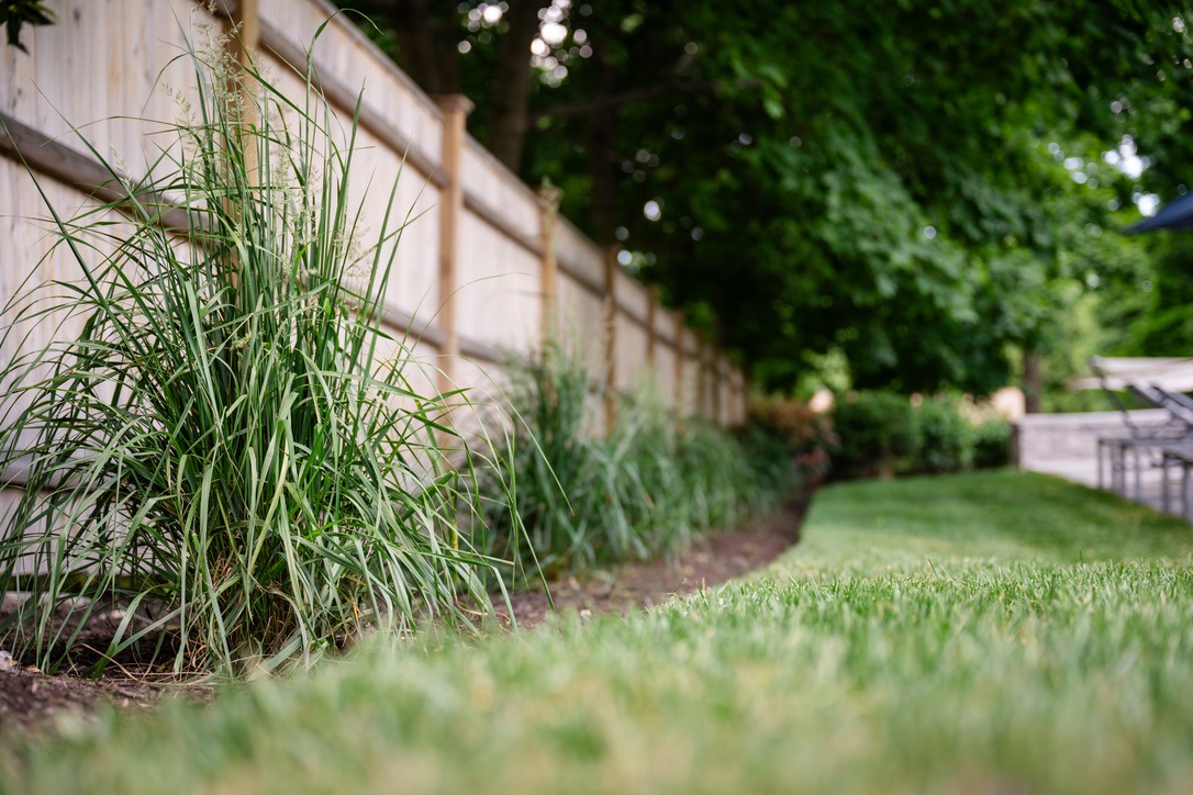 Lush green garden with wooden fence, tall grass, and trees. A patio with chairs is visible in the background, atmosphere is serene.