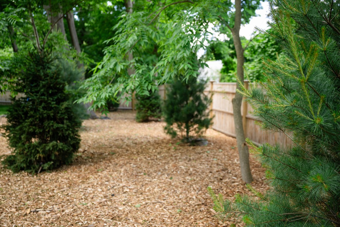 A fenced backyard features trees and mulch ground covering, creating a serene, natural setting with lush greenery and no visible landmarks.