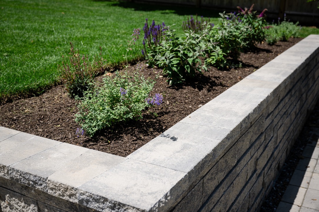 A raised stone garden bed with green plants and purple flowers, bordered by a lush lawn under bright sunlight.