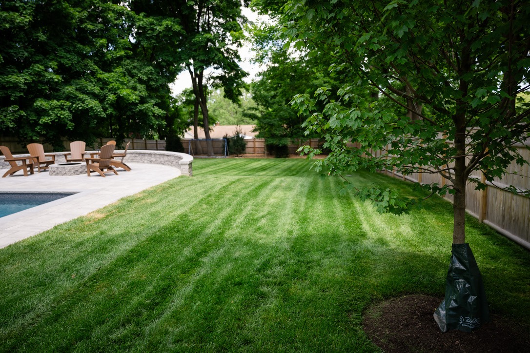 A well-maintained backyard features green grass, a young tree, and wooden chairs adjacent to an inviting in-ground swimming pool.