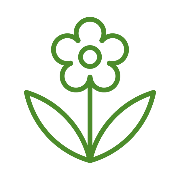 Simple green line drawing of a five-petal flower with two leaves on a stem, set against a transparent background.