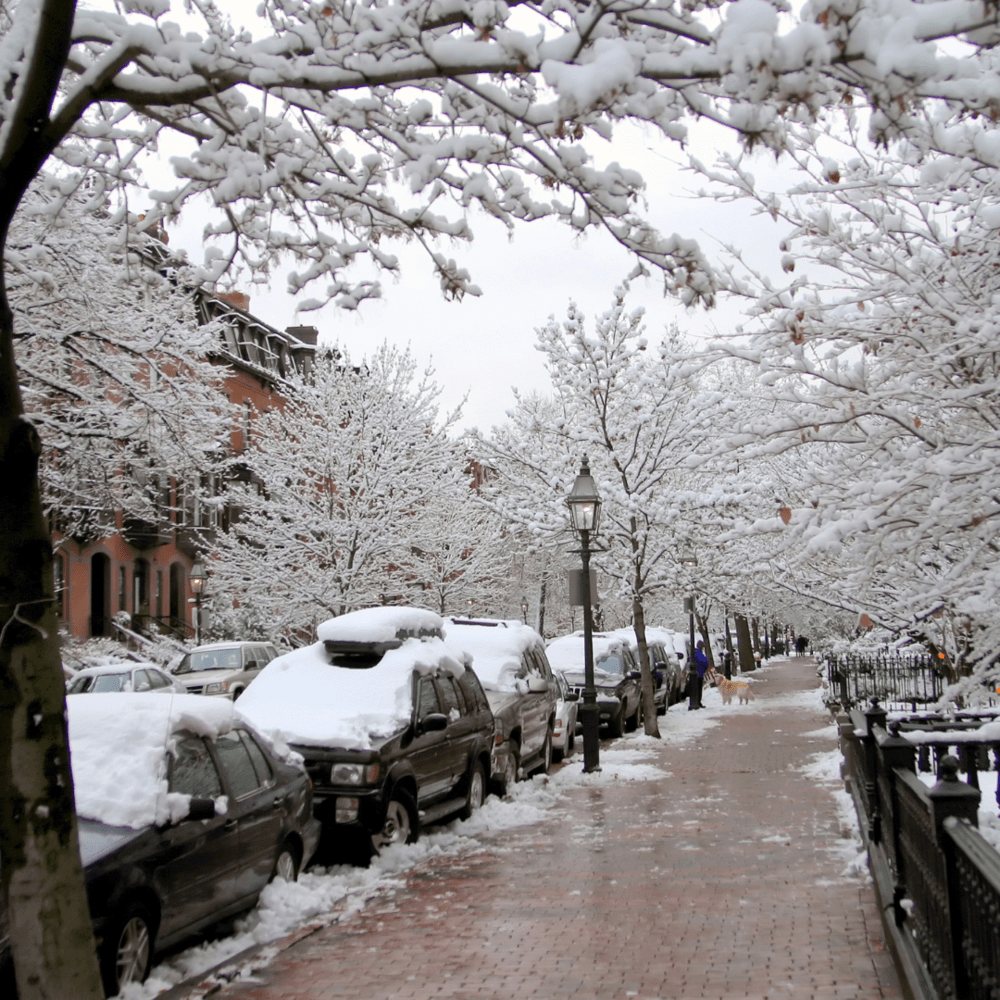 Snow-covered street scene with parked cars, trees, and a person walking. Brick buildings line the sidewalk, creating a picturesque winter atmosphere.